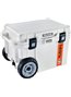 CP45W - White