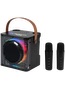 15W Karaoke Wireless Speaker with 2 Mics