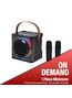 15w Karaoke Wireless Speaker with 2 mics